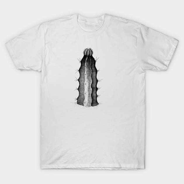 Cactus T-Shirt by Divoc